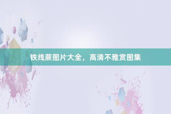 铁线蕨图片大全，高清不雅赏图集